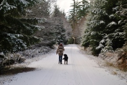 Freebie snow day walk with my dog