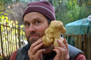 Head-sized potato