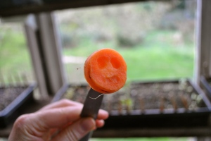 This carrot top was haunted.  Naturally.  As in we didn't carve that face.