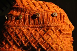 See?  Homemade sweater, homegrown buttons.  Orange.  WIN.